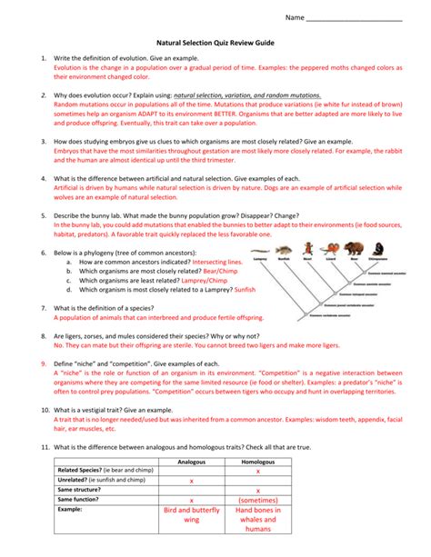 study guide evolution and natural selection worksheet